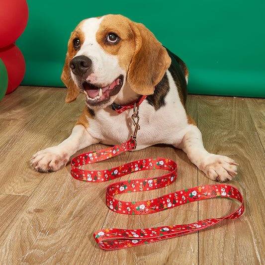 Christmas Pet Collar & Leash Set – Hand Holding Rope Dog Leash for Holiday Walks - ZA-ZOLA