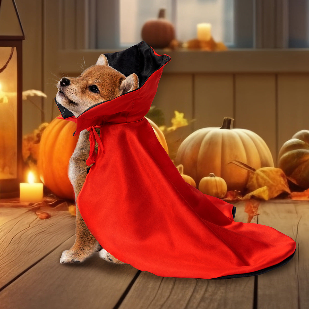 Pet Supplies Halloween Atmosphere Cloak - ZA-ZOLA