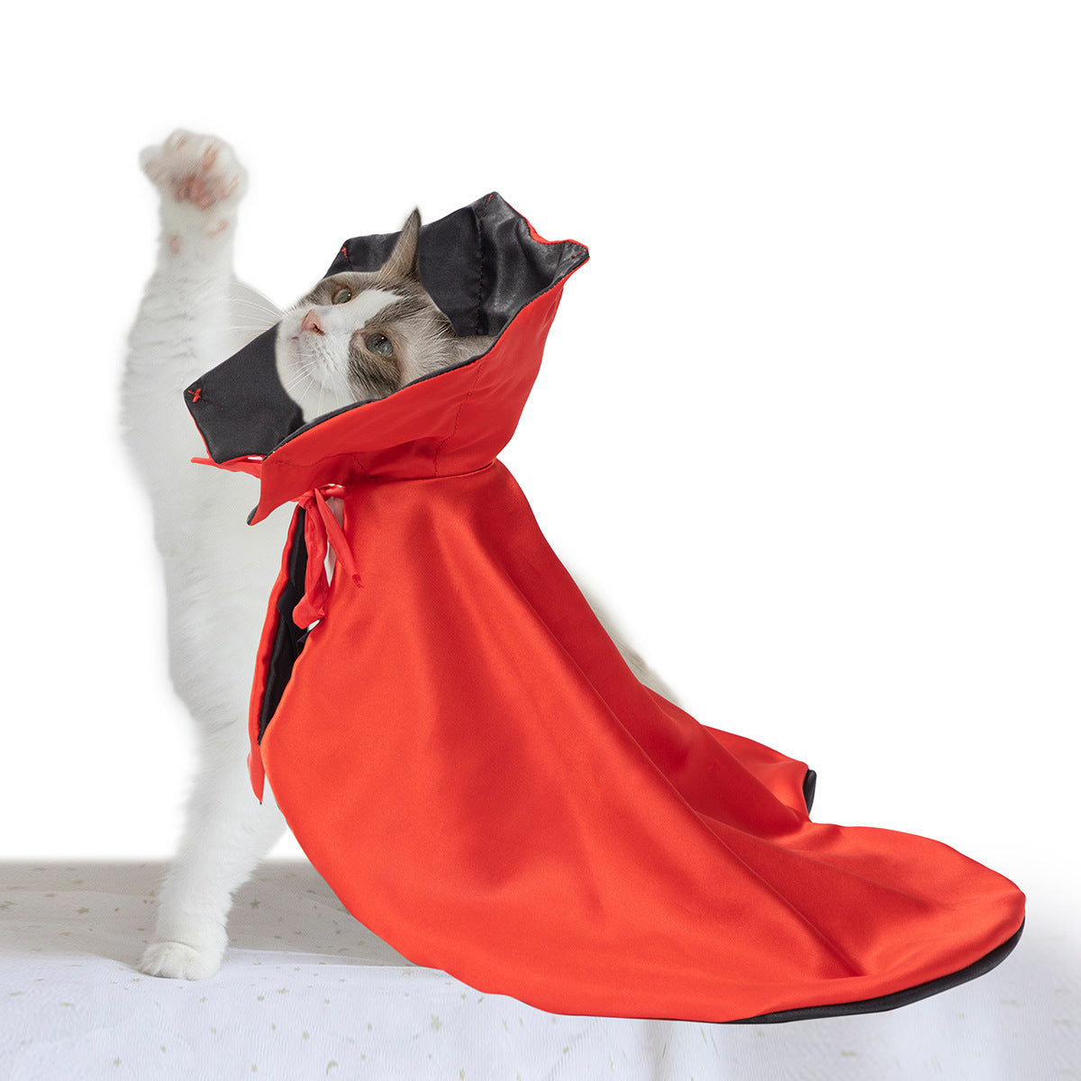 Pet Supplies Halloween Atmosphere Cloak - ZA-ZOLA